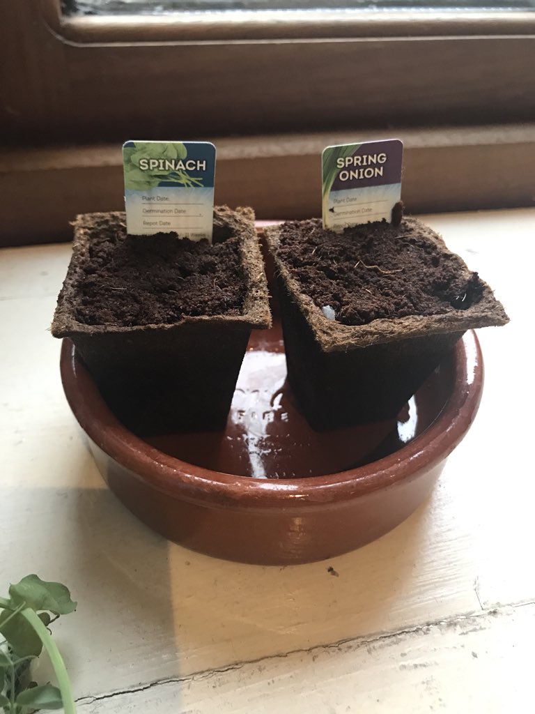 stephendillon's tweet photo. Great initiative @lidl_ireland Hats off!
The kids love them 👍🌱🌱🌱 https://t.co/aNNi1z1Sas