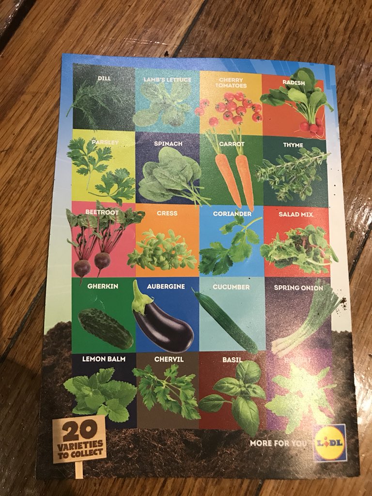 stephendillon's tweet photo. Great initiative @lidl_ireland Hats off!
The kids love them 👍🌱🌱🌱 https://t.co/aNNi1z1Sas
