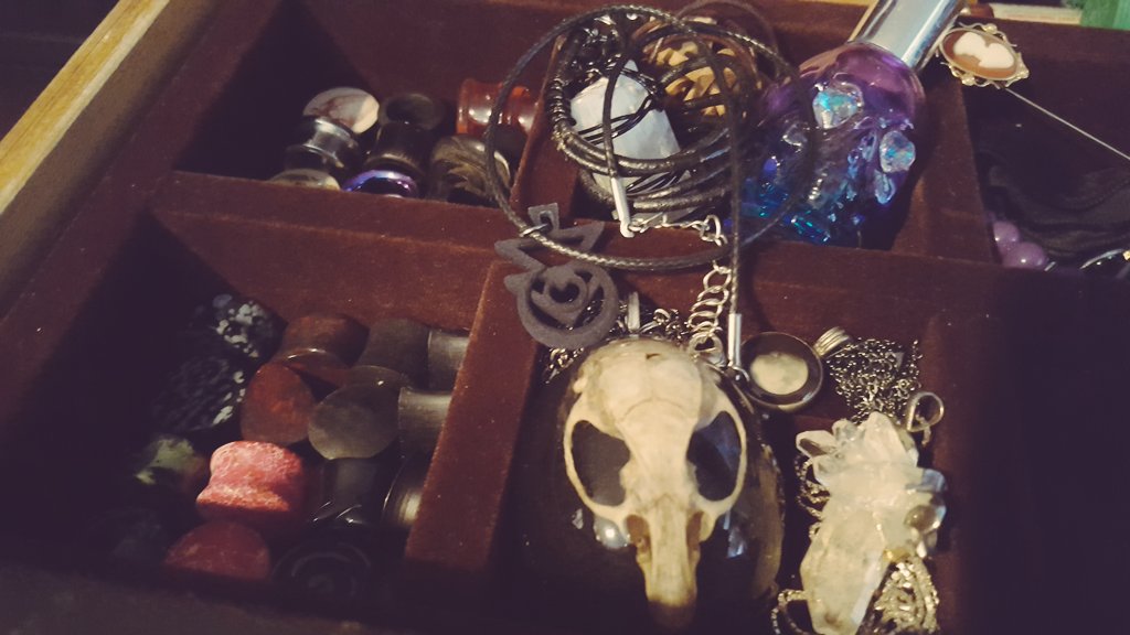 📸🖤💀
.
.
.
.
#macabre #ratskull #myjewelry #jewelry #plugs #stoneplugs #organicplugs #moon #moonphase #moonnecklace #perfume #crystals #crystalnecklace #witchjewelry #necklaces #gothic #goth #gothicaesthetic #gothicjewelry #photography #gothicphotography