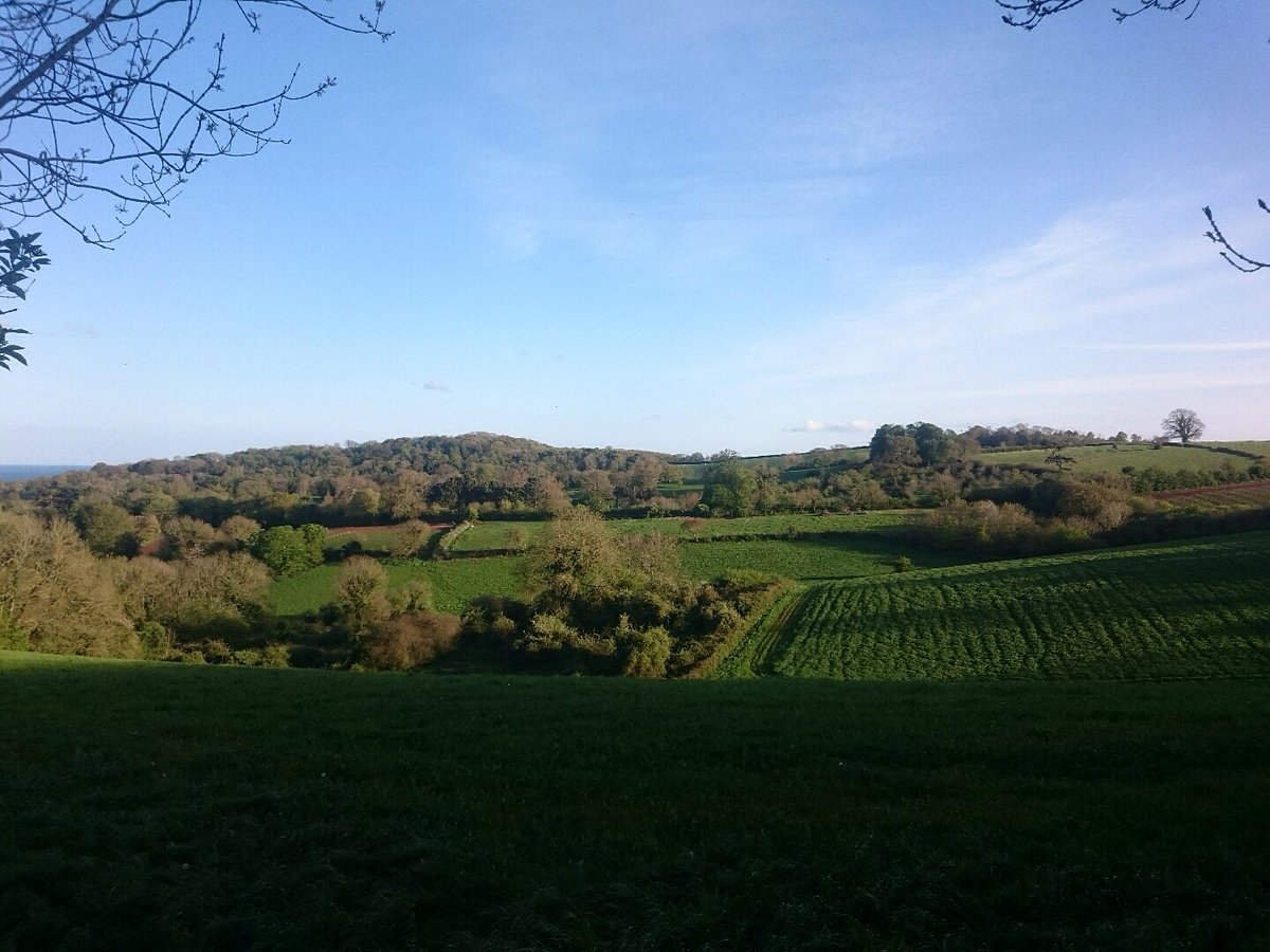 Trail running in South Devon this evening, mud and trails #ukRunChat
