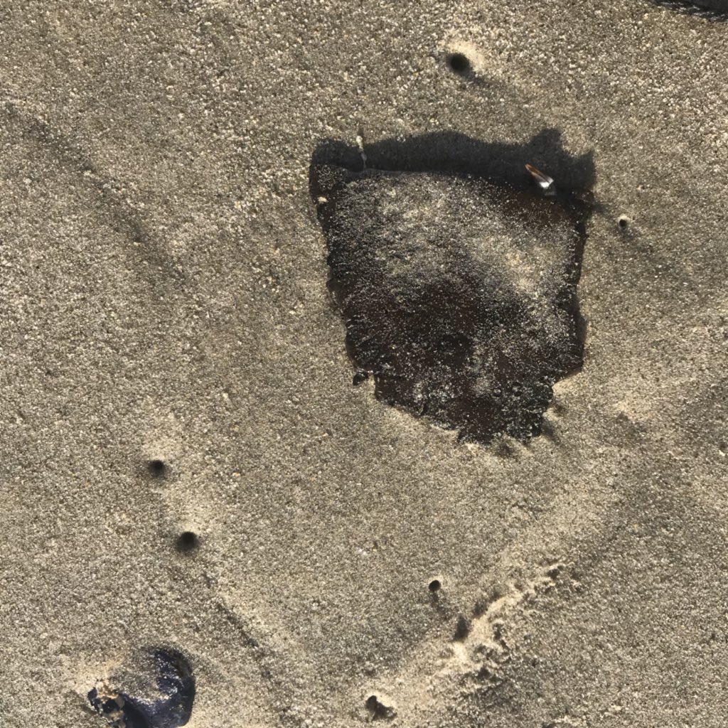 CalStateRE's tweet photo. SCORE!💥😱🏖
A trophy piece #seaglass 
I earned it after picking up several pounds of tar along the waters edge. Plus...3 bags of trash! #karma  #beachcombing #oceanside #pickupyourtrash #SeaMonsterHomes #NorthOHomes #scottandshelleyweier #c2financial https://t.co/Vs6VqUbORE