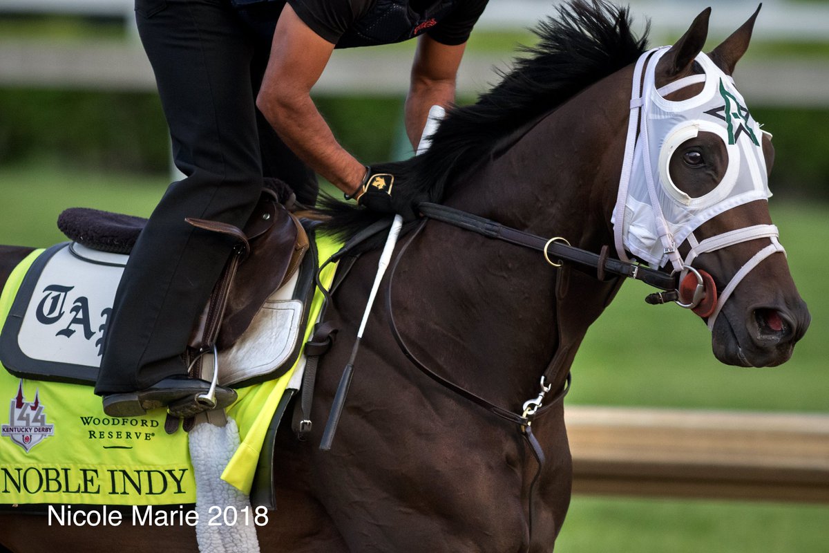 Loving <a href="/NobleIndyHorse/">Noble Indy</a>! He looked great <a href="/ChurchillDowns/">Churchill Downs</a>