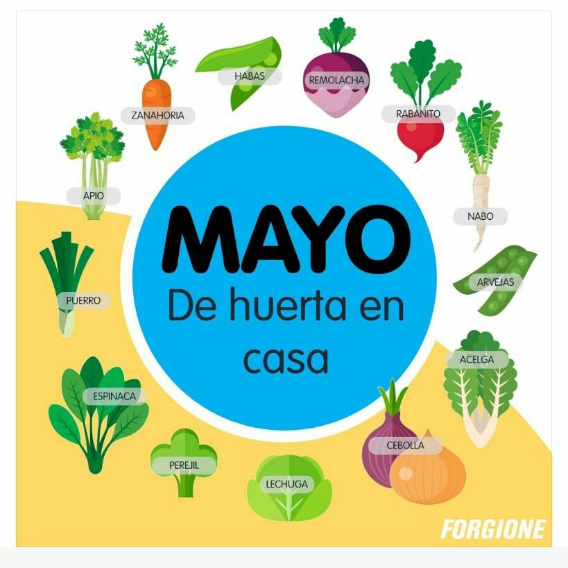 Sabías que a través de INTA podes conseguir gratuitamente las semillas para armar tu propia huerta, como así también información sobre el armado, plantación, mantenimiento, etc. Clickeá y entérate!!! 
prohuerta.inta.gob.ar