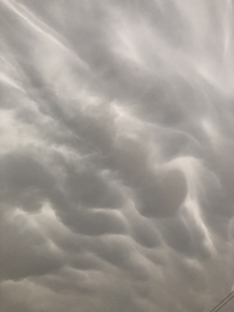 itser1ca's tweet image. #kocofirstalert