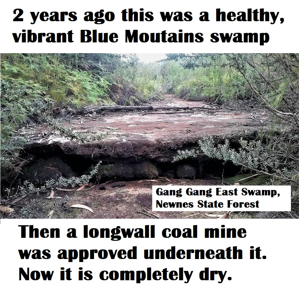 2 yrs ago the Gang Gang East Swamp in the Blue Mountains was a healthy, vibrant nationally significant endangered ecosystem, but now its completely dry. 
A nearby coal mine has intersected a geological fault and, like pulling the plug out of a bath, all the water's drained away.