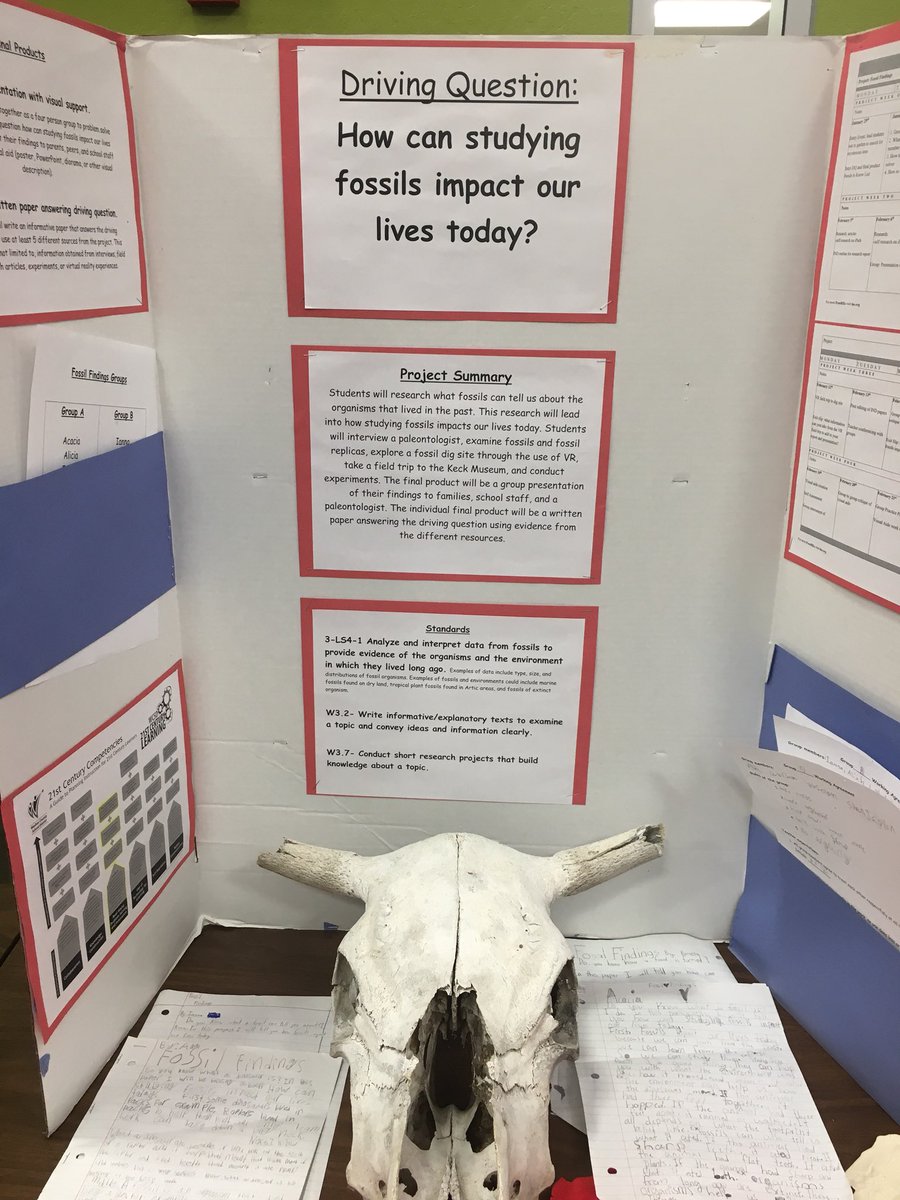 ltorvinen's tweet photo. Always great to find out what @LincolnParkES students are learning  #wcsdpbl @kjries https://t.co/jfHQEaOsJQ