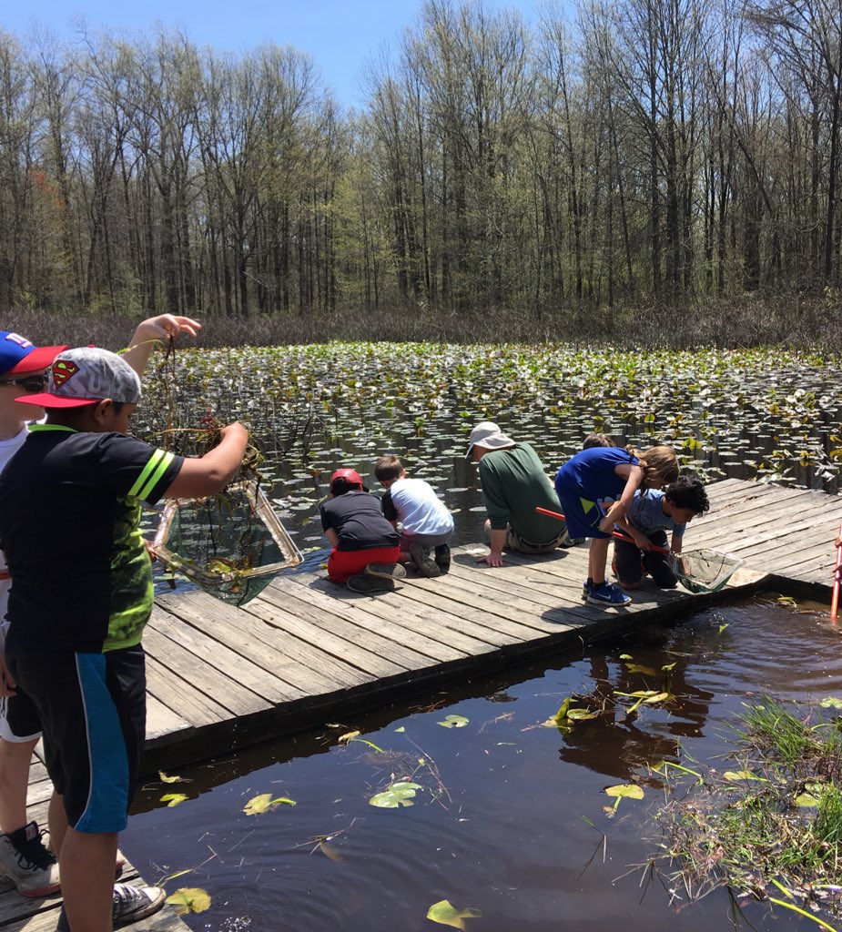 MissBrooten's tweet image. 3rd Grade Field Trip to the Environmental Education Center at Lord Sterling Park. 🌿🍃🌱
Learning, Nature, Memories, and Friends... What could be better?!  @eec_scparks @BedwellSchool #thirdgradescience #newjersey