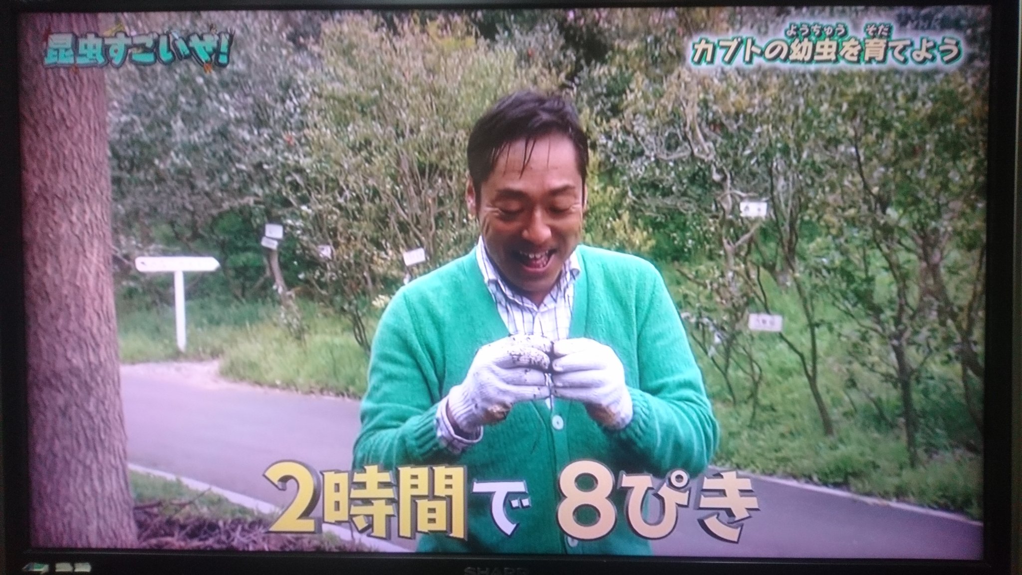 ペンギンズ 香川照之の昆虫すごいぜ Eテレ クマバチ カブトムシの幼虫を育てよう クマバチ ものすごい図鑑 カマキリ先生 T Co Wsffiyadzp Twitter