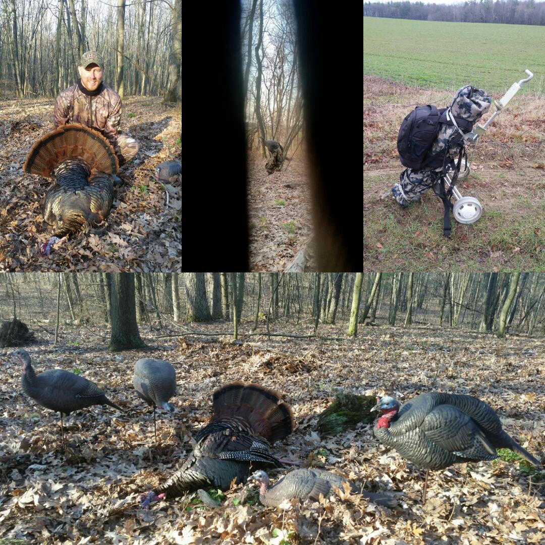 Norfolk_Hunter's tweet image. Had a great hunt before work this morning. It&apos;s been 9 years since I used a gun to kill a turkey. When this bird saw something he didn&apos;t like. My friend Mike passed me his boom stick. #TagPunched