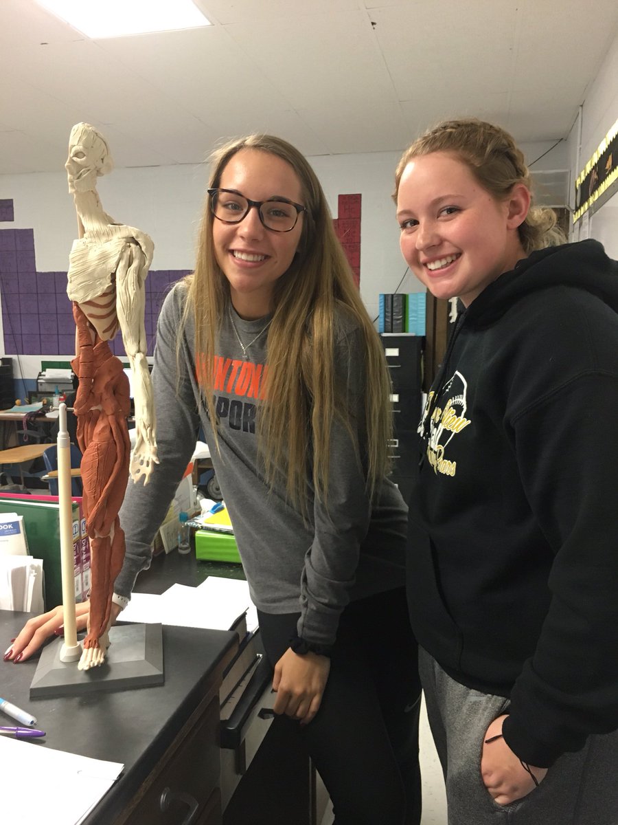RiverViewLocal's tweet photo. Major muscles in the body produced with Clay! #anatomy #GoBears https://t.co/McyWU7iQGF