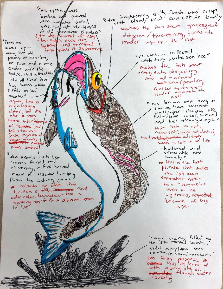 Caitlyn Wiley tweet media