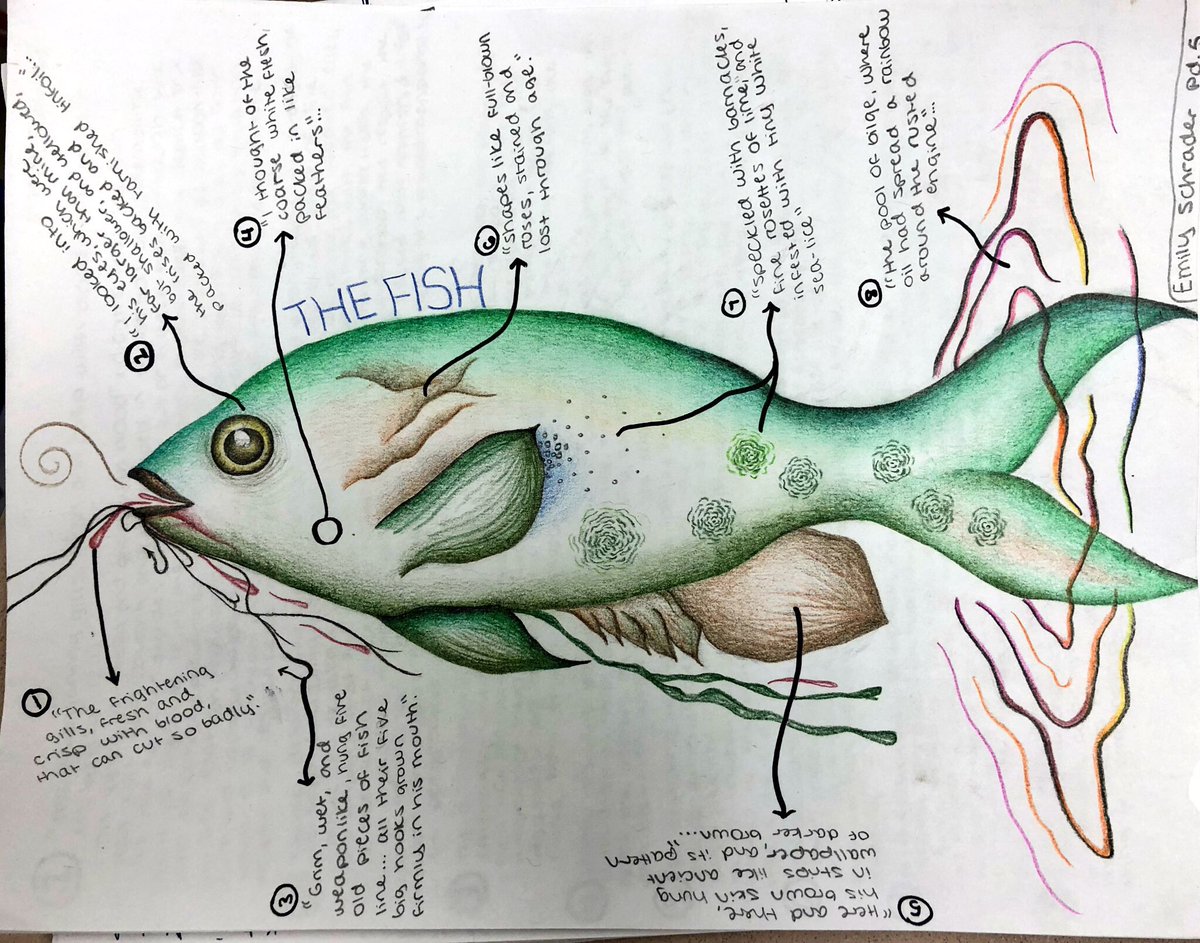 Caitlyn Wiley tweet media