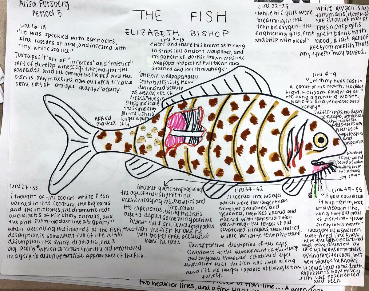 Caitlyn Wiley tweet media