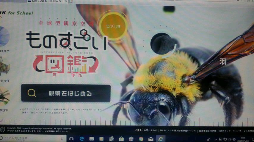 ものすごい図鑑 Twitter Search ものすごい図鑑 Twitter Search