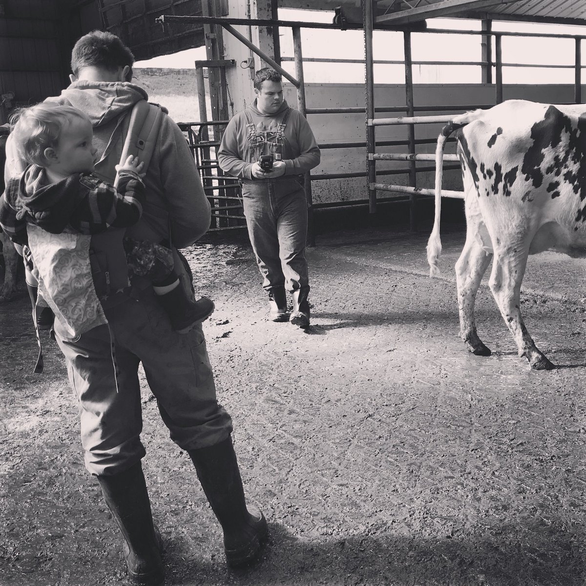 It was a beautiful to #scoretheherd