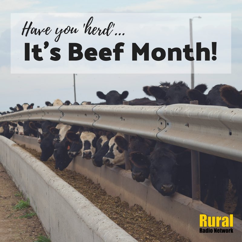 Nebraska is ranked:
1️⃣All cattle on feed - 2,770,000
2️⃣All cattle and calves- 6,800,000
4️⃣Beef Cows, number of head- 1,910,00 

There's a lot to celebrate in Nebraska during Beef Month!