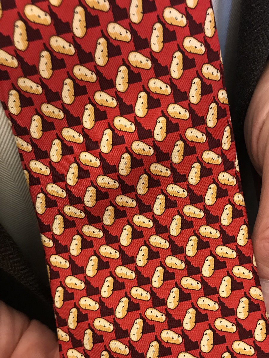 In case you didn’t notice it, Lt. Gov. Brad Little was wearing an awesome tie featuring the state of Idaho and potatoes 🥔 I deem this the coolest tie I’ve ever witnessed.