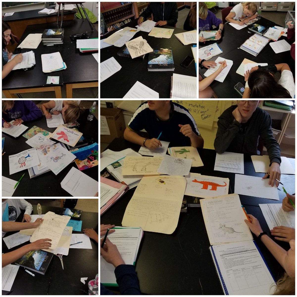 Mrs  risinger tweet media