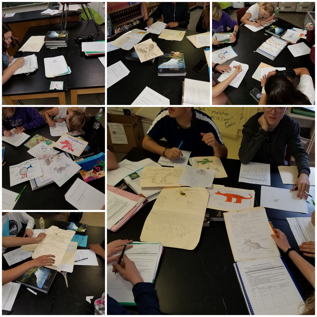 Mrs  risinger tweet media