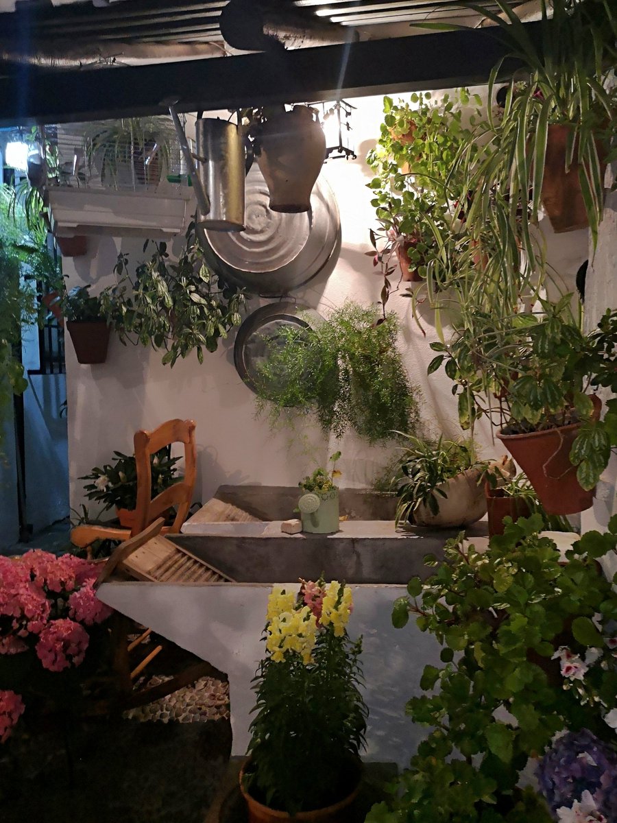chary_serrano's tweet photo. #BuenasNoches #Felizdescanso
#patiocordobes en c/Martín de Roa, 7
@PatiosdeCordoba @de_PATIOS @PatioSanBasilio
@Cordoba_MeGusta
@CordobaSabe
@CordobaEnAzahar
@mimaacordoba 
@GastroPatios
#LaHoraMagica2M https://t.co/zfLD0qoNJG