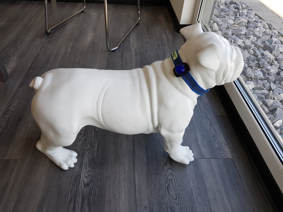 Jim_and_Bones's tweet photo. Die Bulldoge ist schon bereit für die Interzoo https://t.co/ZKYLU6xqax