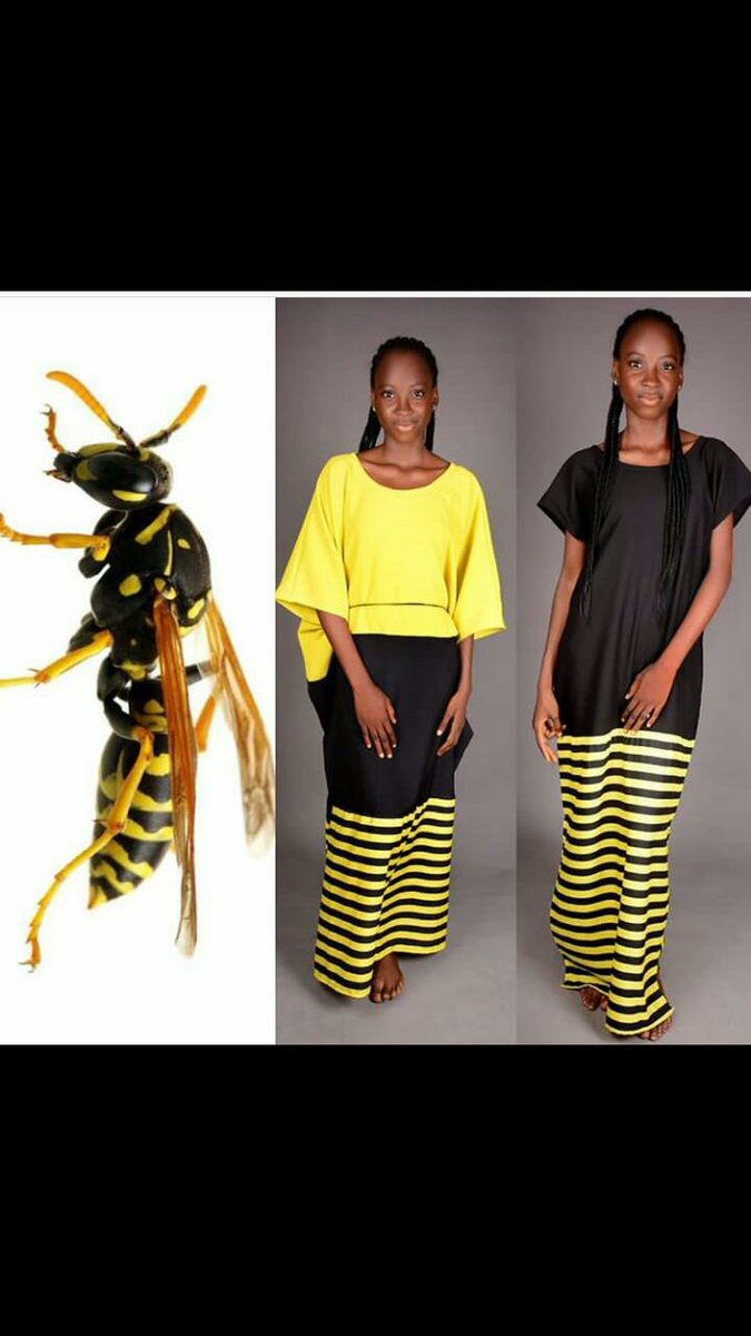 becca_adefuye's tweet photo. BECCASPALACE  your one stop shop for:
PHOTOGRAPHY📷
MAKEUP💄
CLOTHING'S👗
FASHION👜👗👖👕👚👠👙. Kindly retweet and and like to support and entrepreneur who isn't a lazy youth. Thank you. God bless you. Kindly make your orders and DM for more.🙏 https://t.co/0F5EljSSV7