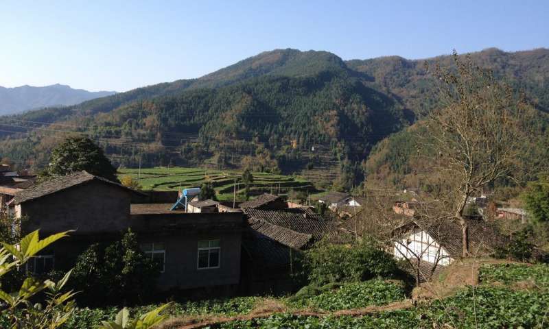 TechBeePress's tweet image. Survival and restoration of China&apos;s native forests imperiled by proliferating tree plantations ift.tt/2HLEXM9