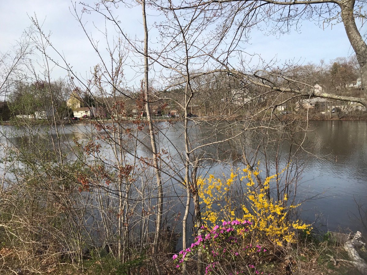 RapacioliGroup's tweet photo. Showing homes in the quaint hidden gem area of Golden Hills Saugus (@ Golden Hills in Saugus, MA) https://t.co/hwuPOSzoXK https://t.co/mJGFOMhaKD