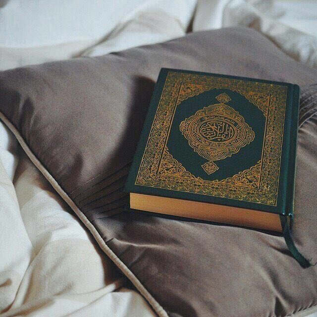 "ما أنزلنا عليكَ القرآن لتشقى"
- القرآن ضمّادُ القلوب ♥️.