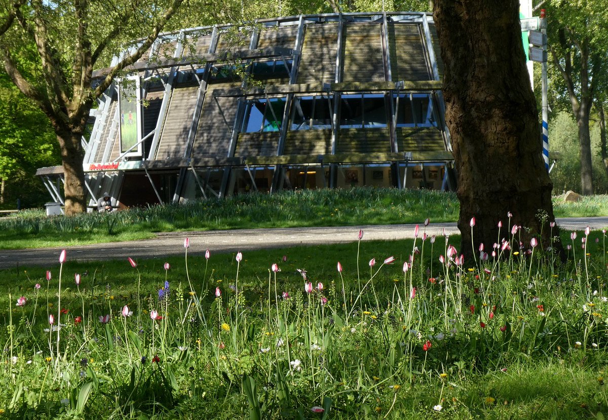 Wouter van der Wulp tweet media