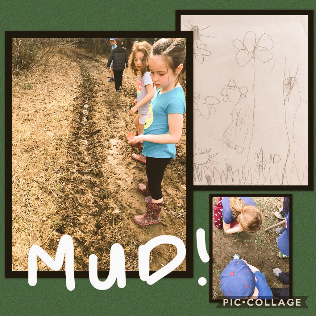 e_grose's tweet photo. On the hunt for signs of Spring! We had a blast on our nature walk today. It was awesome watching the Ss work together in small groups and document their own finds. Being out in nature sparked so many wonders. @monckps #TLDSBlearns #outdoorclassroom https://t.co/SUbYUAMXBj