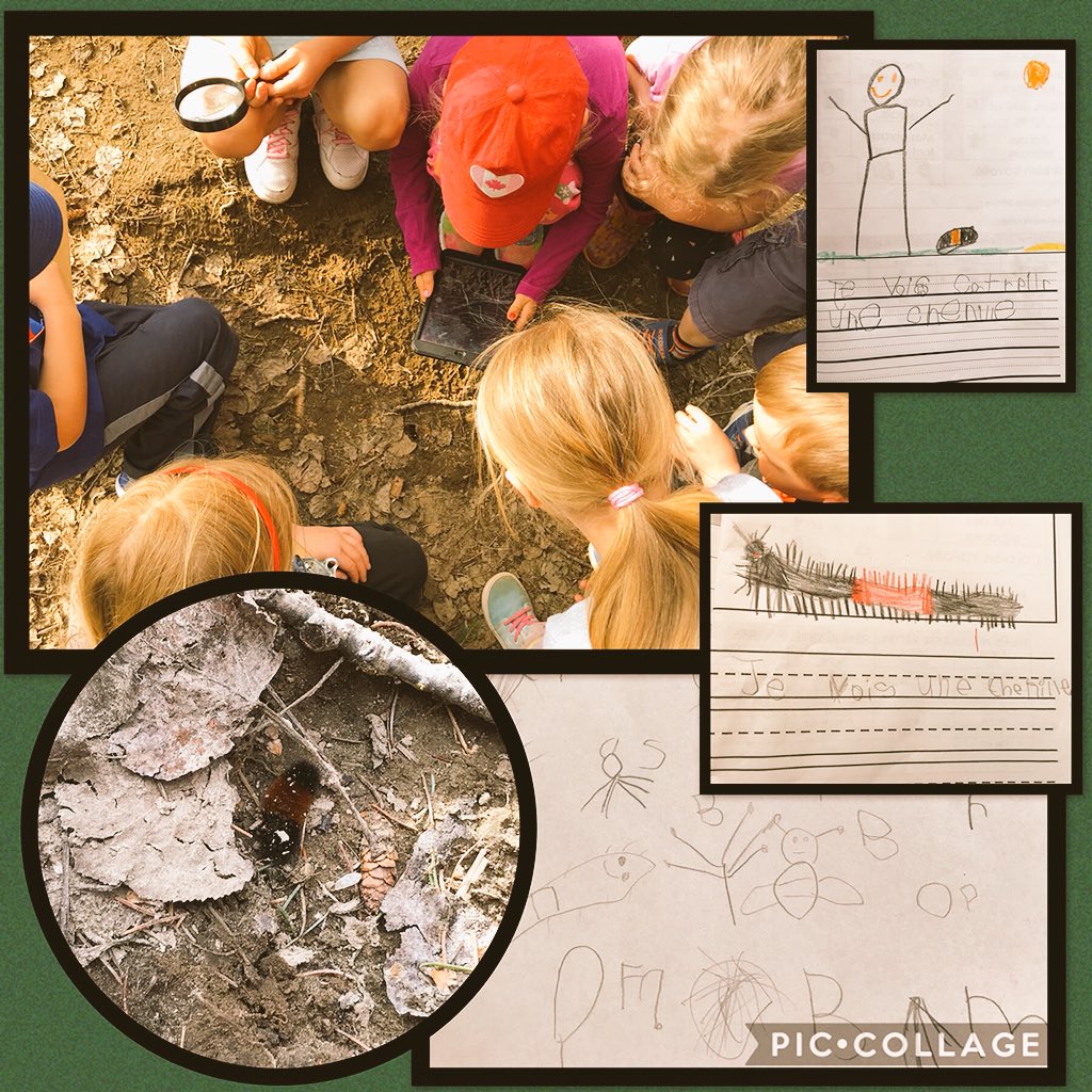 e_grose's tweet photo. On the hunt for signs of Spring! We had a blast on our nature walk today. It was awesome watching the Ss work together in small groups and document their own finds. Being out in nature sparked so many wonders. @monckps #TLDSBlearns #outdoorclassroom https://t.co/SUbYUAMXBj