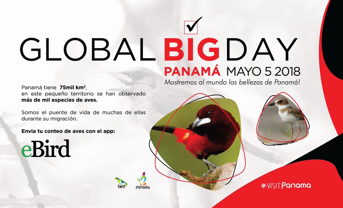 Mañana los esperamos en la #conferenciadeprensa del #globalbigdaypanama, donde se brindarán detalles de cómo el país se ha preparado para este evento mundial de observación de aves.