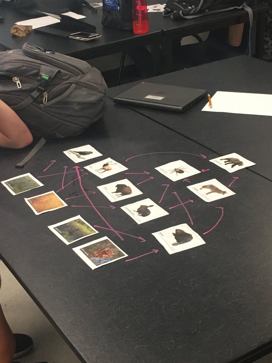 lboulden234's tweet photo. Thanks @DrDavidSharp for the great idea! AS bio food web manipulation with neon expos on the desks. https://t.co/OUmiM3XdQR