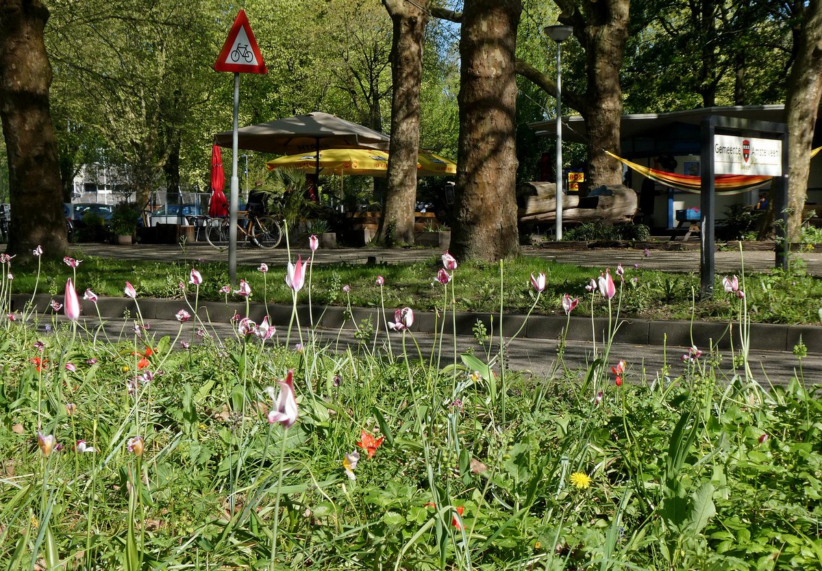 Wouter van der Wulp tweet media