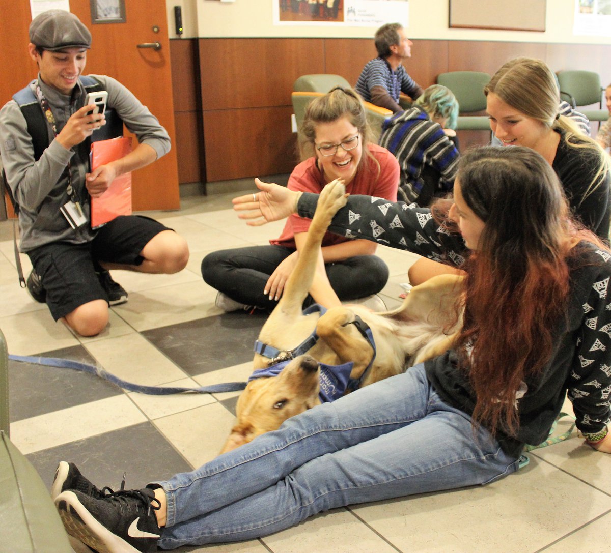 DominicanCANews's tweet photo. Thank you to @MarinHumane for providing #therapydogs for #Pause4Paws to help Dominican students cope with stress of #springsemesterfinals. #PauseForPaws #MarinHumane #ThisIsDUC https://t.co/WAb6PGuGu3