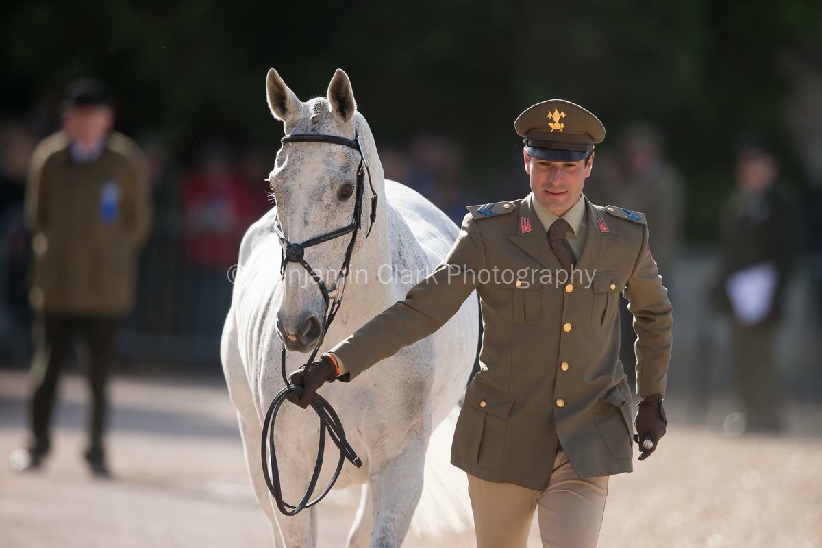 CranfordStud's tweet photo. Hero is  settled at @bhorsetrials Trot up passed ✔️ &amp; best dressed won 🏆
Dressage tomorrow so 🤞🏻 for a good week. Huge thank you to everyone that has supported us lately, all our sponsors, owners, team &amp; the team hero syndicate! 🍀🤞🏻 @GAINEquine @HorseScoutTeam https://t.co/4ZzHaYNeDs