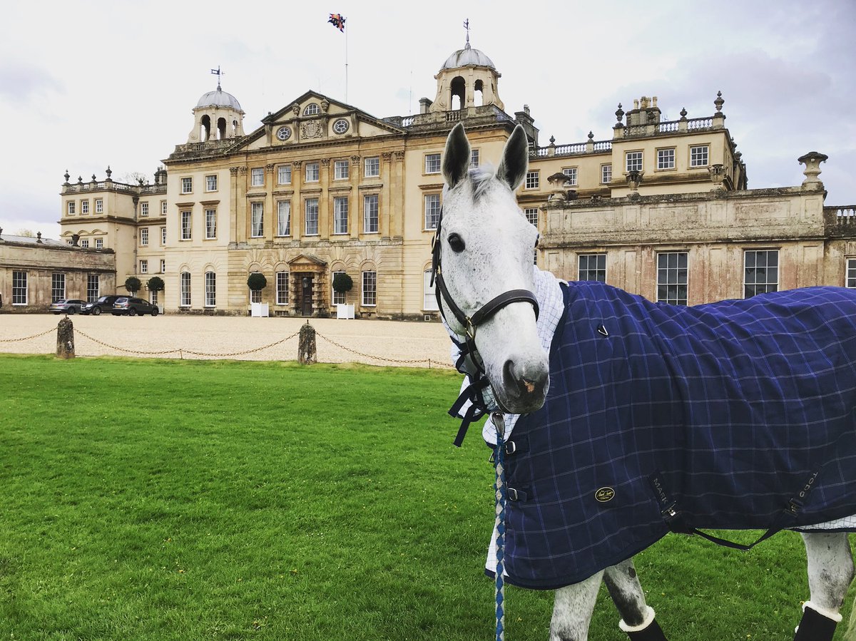 CranfordStud's tweet photo. Hero is  settled at @bhorsetrials Trot up passed ✔️ &amp; best dressed won 🏆
Dressage tomorrow so 🤞🏻 for a good week. Huge thank you to everyone that has supported us lately, all our sponsors, owners, team &amp; the team hero syndicate! 🍀🤞🏻 @GAINEquine @HorseScoutTeam https://t.co/4ZzHaYNeDs