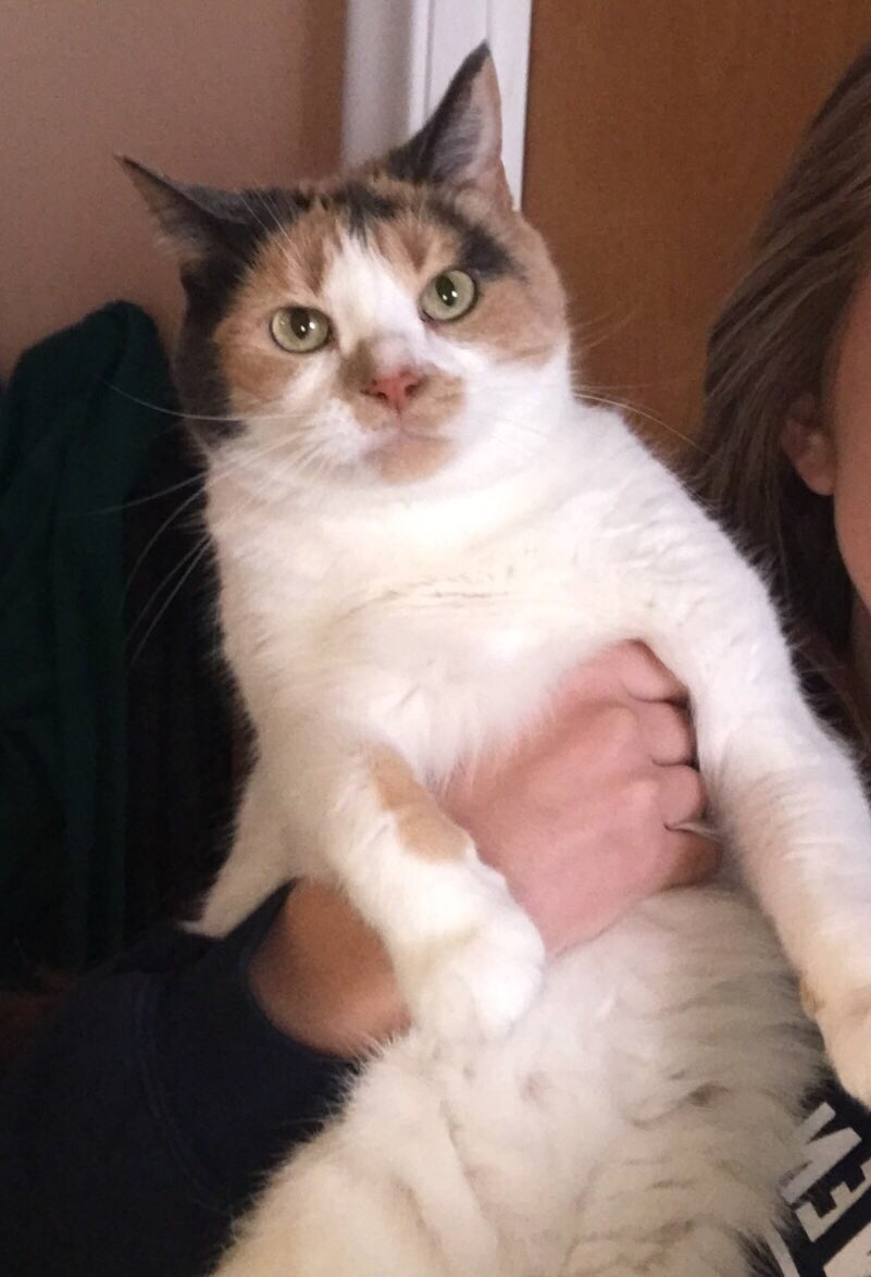 mia_pinderi's tweet photo. felt cute, might delete later though💘😚 https://t.co/FzvMlbma1K