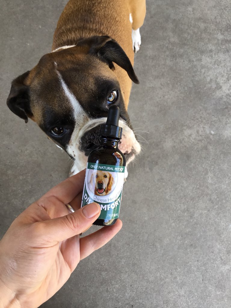 Neptune Blogging Boxer tweet media