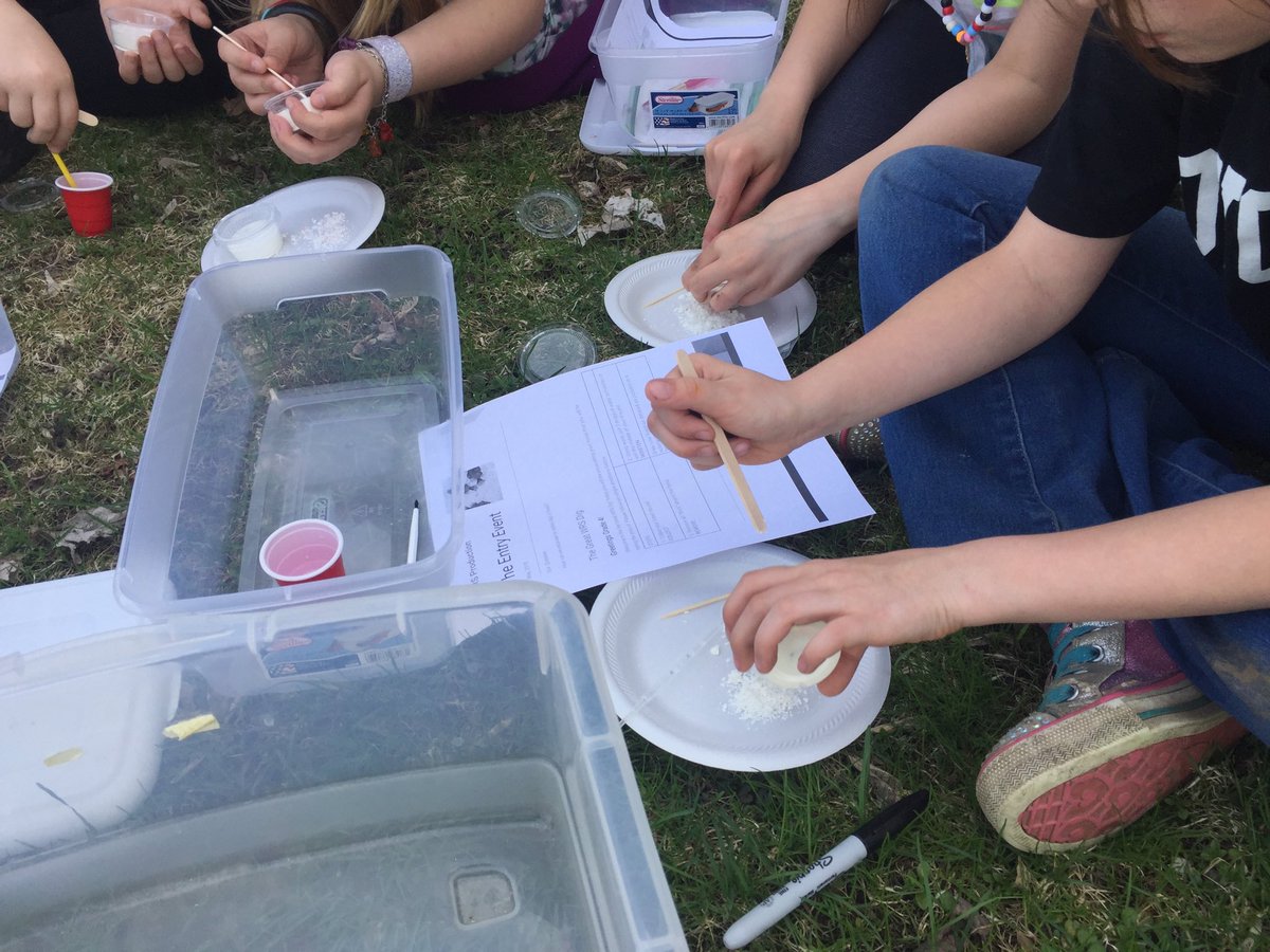 cranevted's tweet photo. An excellent day to begin telling the story of a fossil. West Rutland 4th graders excavate their very own fossil to relate  to AND get to make ooblek! Engaging and Messy! #vted @WRS_VT @NerdyMaestra https://t.co/Vm0WkNwl9u