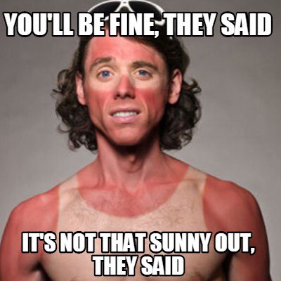 Angry Gulls tweet media