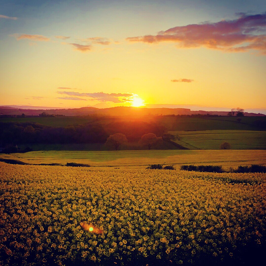 HelenHone's tweet photo. Sunsets in Herefordshire.. stunning 👍🏻 https://t.co/AWH1LXSCgn