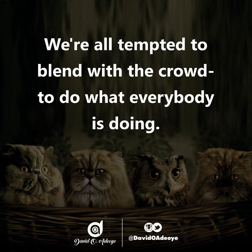 DavidOAdeoye's tweet photo. #LifeLessons #WisdomCapsule #WordWonder #WinningPower #GraceAtWork #RoyaltyIsThePlaceToBe #BusynessOrBusiness #YouAndYourMinistry #TakingOverTerritories #TOT2018 https://t.co/MBc9dfJngw