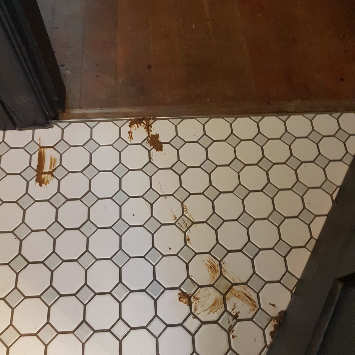 almostafarmBC's tweet photo. Shit happens but please when it does don't close the door on it!! #almostafarmbc #fml #wtf #farmfail #hgtvcanada #notagain #poop #shit https://t.co/mbCVsCgpar