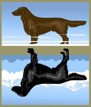 NWflatcoat tweet picture