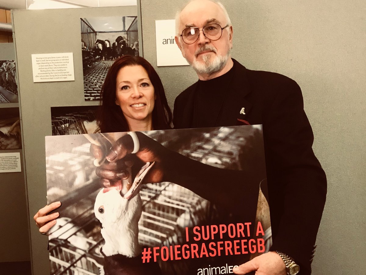 PeterEgan6's tweet photo. .@AnimalEquality @ToniShephard @HenrySmithUK Terrific campaign presentation at @HouseofCommons tonight for #FOIEGRASFREEGB The cruelty is intense to produce fatty liver. Let’s get all imports banned. Let’s stop these poor birds being force fed..it’s disgusting. https://t.co/jEEUXVDX02