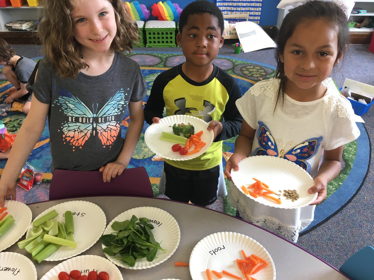 SionKC_HS's tweet photo. Mrs. Bowmanβs first grade class put their learning where there mouth is by eating a parts of a plant salad! #SpringEating https://t.co/HAkUivIaFx