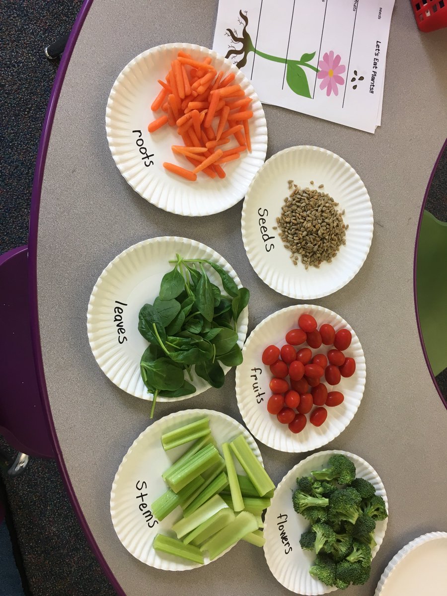 SionKC_HS's tweet photo. Mrs. Bowmanβs first grade class put their learning where there mouth is by eating a parts of a plant salad! #SpringEating https://t.co/HAkUivIaFx
