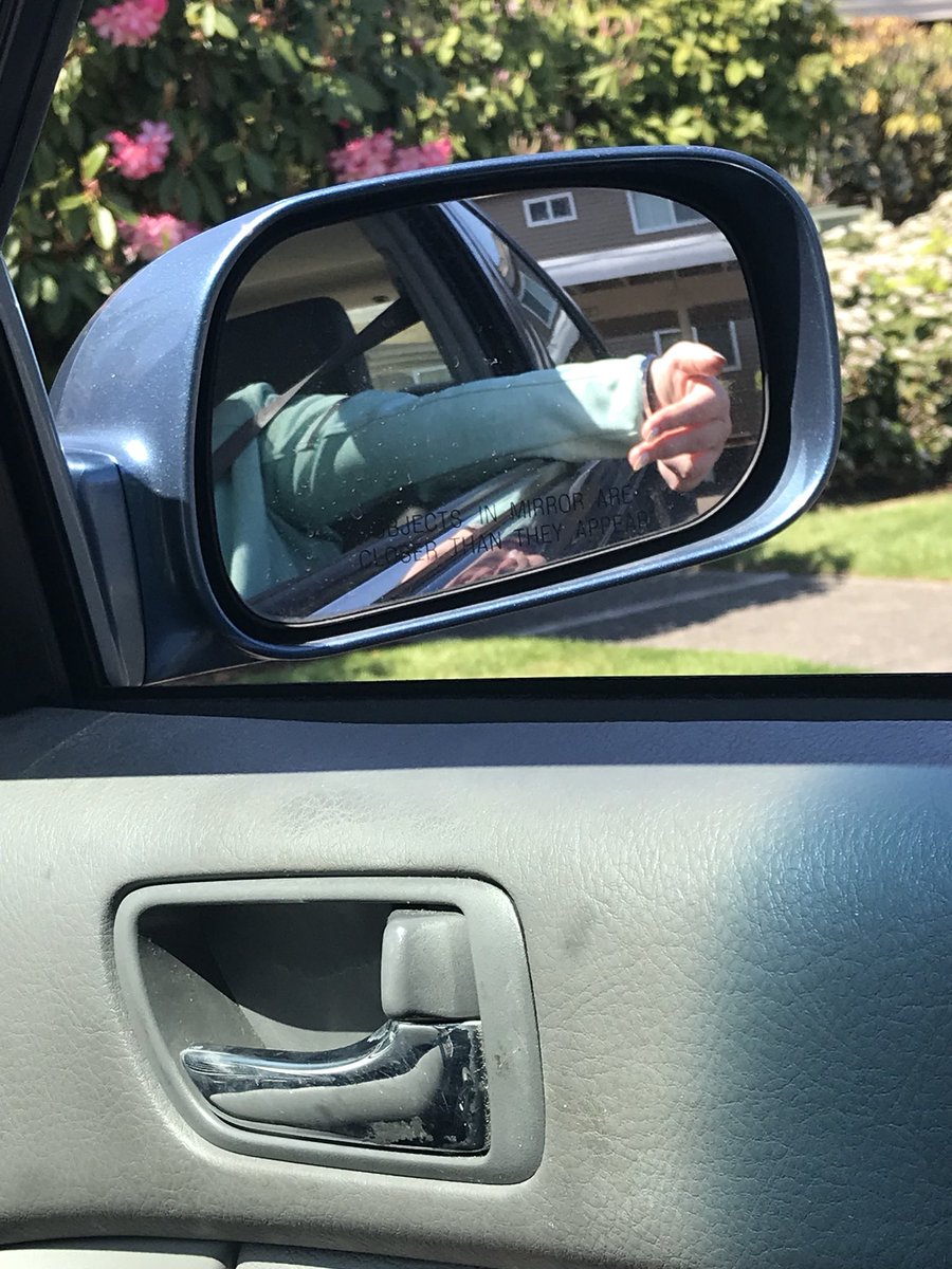 salty_zebra's tweet photo. Just causally hyperextending my elbow while parked #zebraproblems https://t.co/r1DKkF1R2j